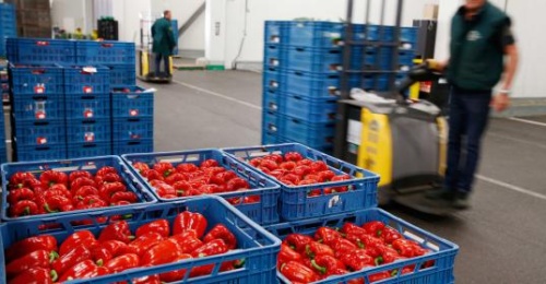 Таможенное оформление фруктов и овощей: особенности растаможки свежих и сушеных продуктов